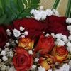redros070