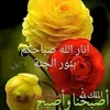 samir1amir650