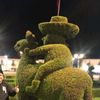 jofercha