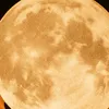 husseinalarabi11