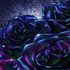 1blackrose8