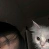 bexleyqt_