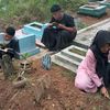 cah.pangdaran