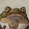 rabid.frog.in.a.hat