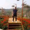 lovuong8