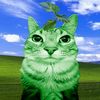 catgreenlolheh