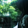 softqsty