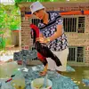sonngocquy3