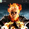 the_ghost_rider16