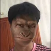 monkey.aov