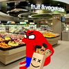 _spider_cheems