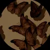 lightndarksisters