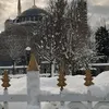 fatihaamour747
