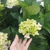 dieuthien5566