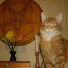 fabithewitch