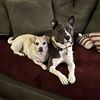 Benny and Leroy
