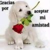 martin.lopez45