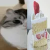 nanadufer
