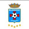 johan_b.s