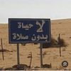 lqoq9