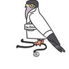 hawk_a07