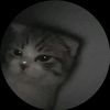 rafli_editz2
