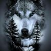 dougwright02
