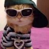 baby_bird43