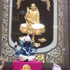 velamaju82