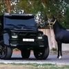 umer72579