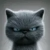 _baha_prins_