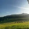 Tinitah Alam