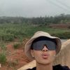 tingbee_1