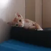 eyyyuuue