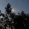mo_dark_3