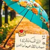 2.kdp