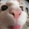 phileee_24
