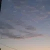 marwam_6