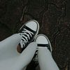 prv.shaa_