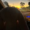 embiecuame