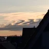 elisa_wnd