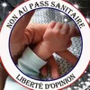 anneliseronse