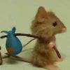 asiafaschifo