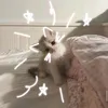 dywwc7onc2vq