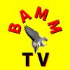 bamm.tv