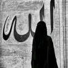shiat.ali_33