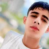 damaskrosa2