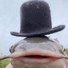 botanybulbasaur
