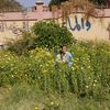 user1485597661056