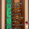 user185606489